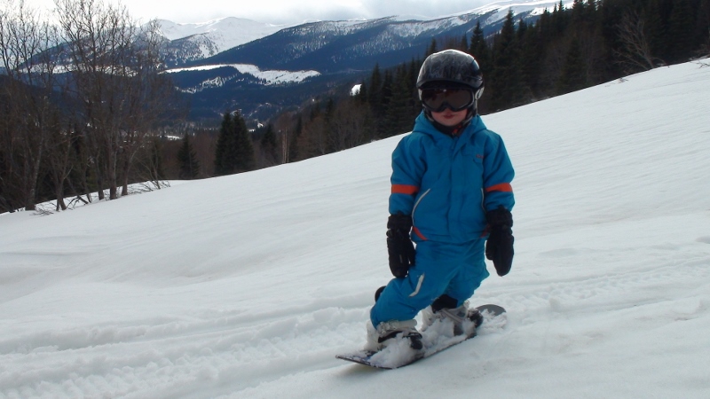 Devon 3 yrs old (800x450)